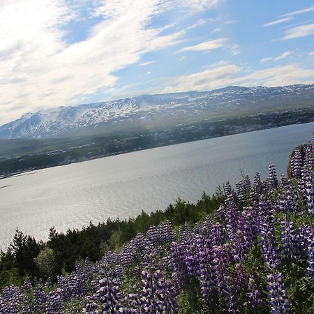 Viking Cottages And Apartments Akureyri Exterior foto