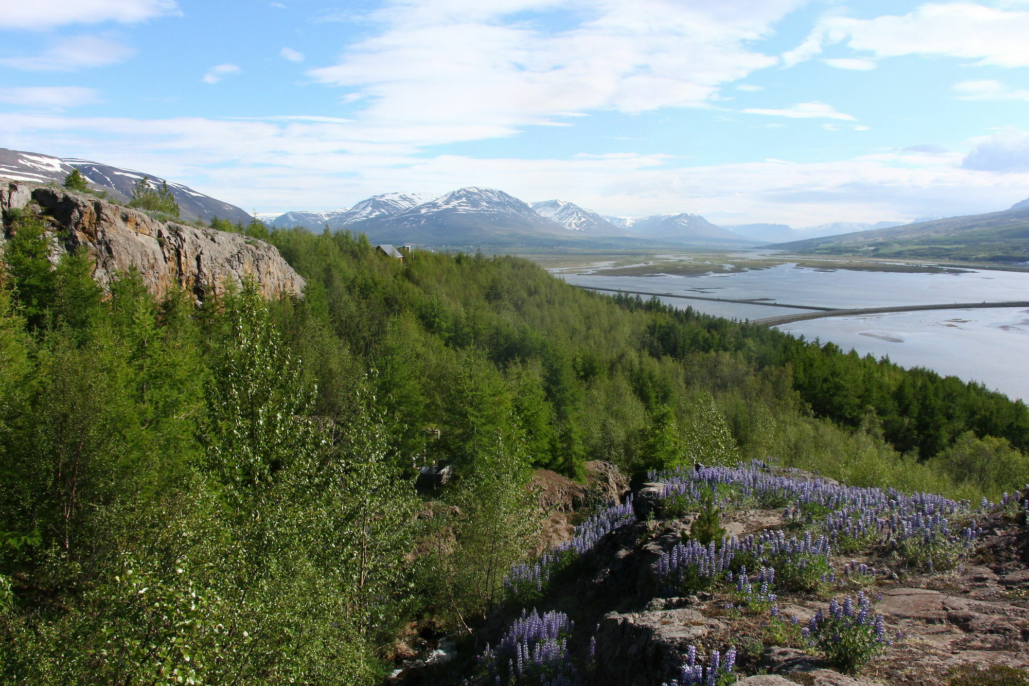 Viking Cottages And Apartments Akureyri Exterior foto