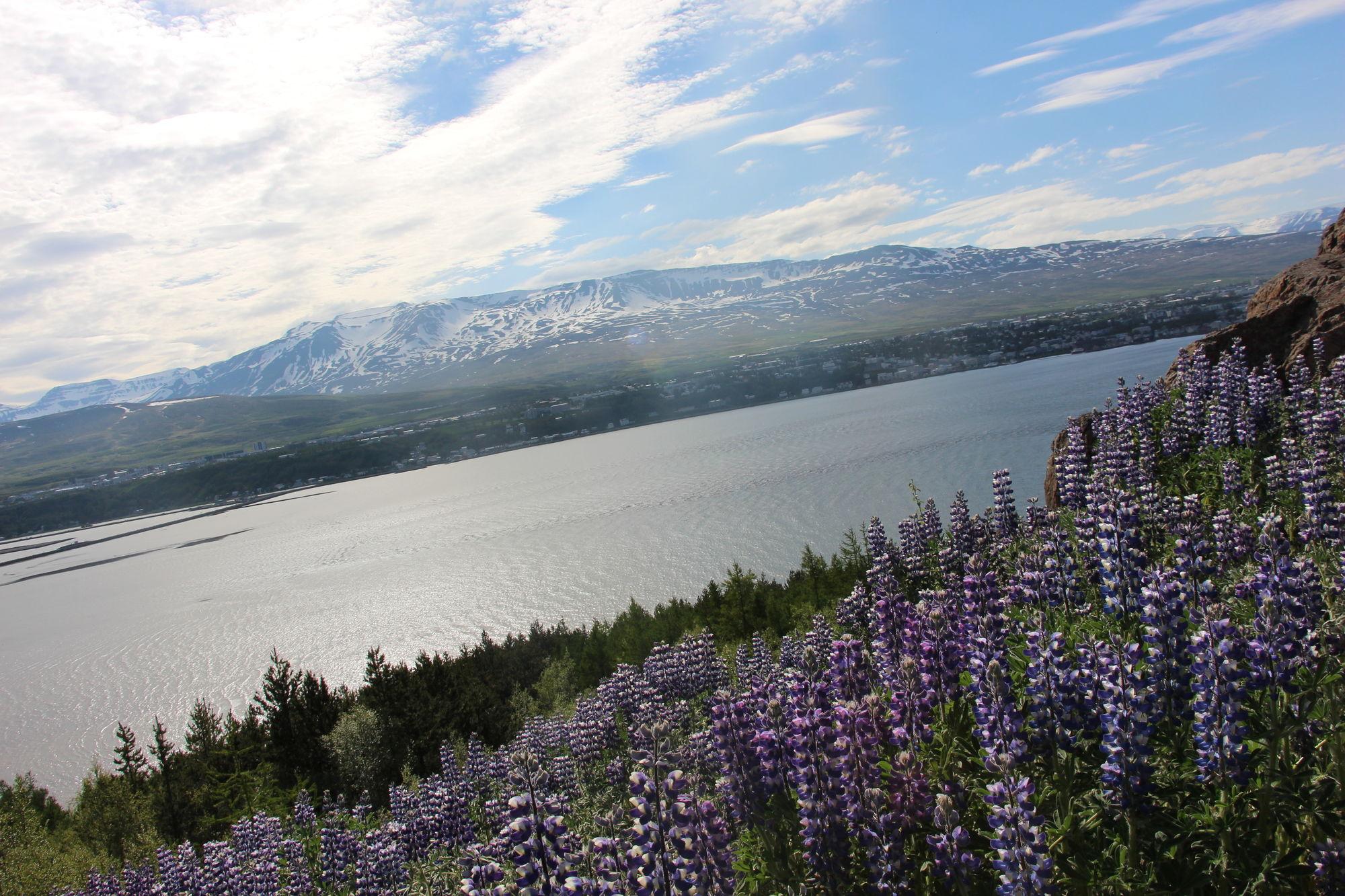 Viking Cottages And Apartments Akureyri Exterior foto